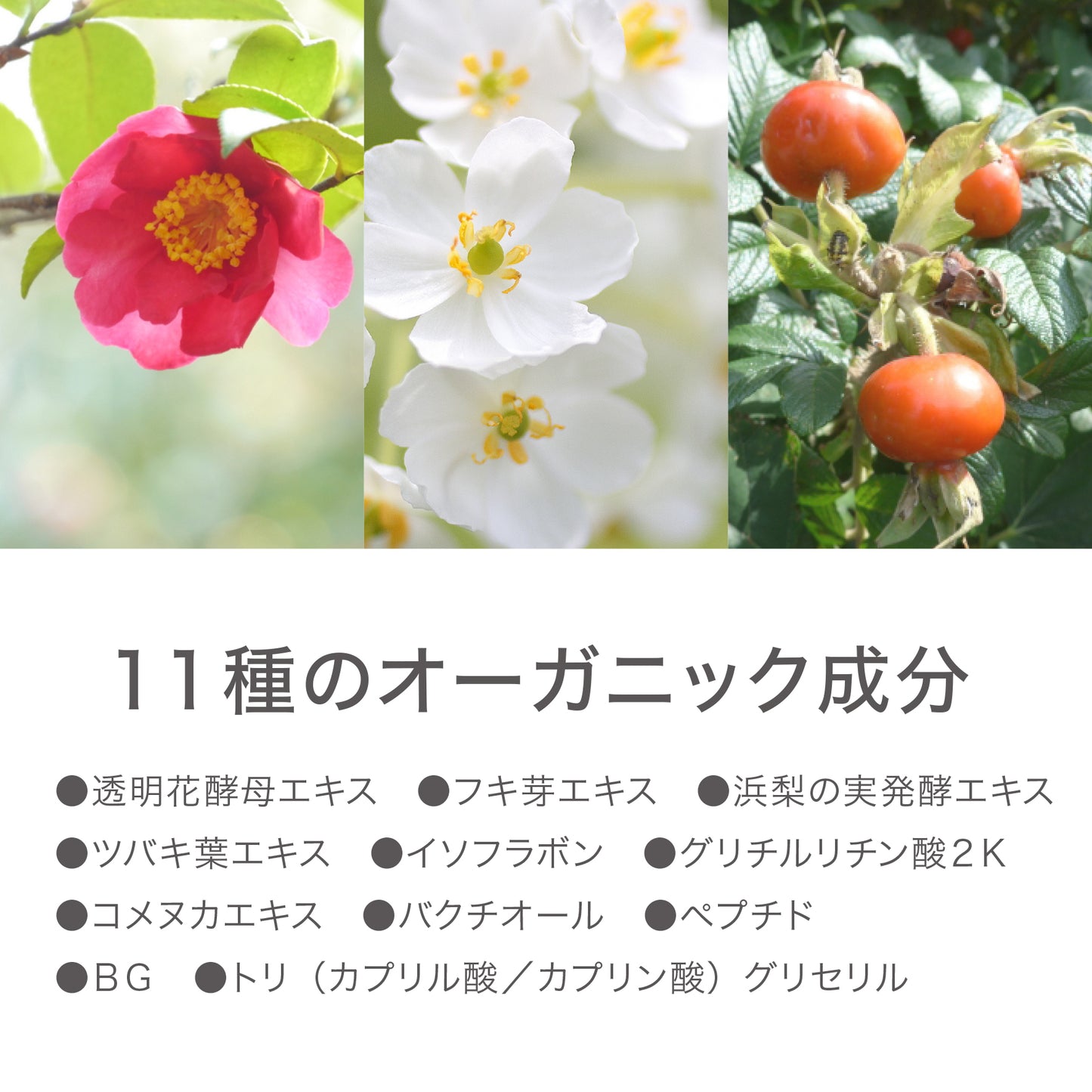 BODY CARE CREAM リエムオーガニック ボディケアクリーム　190ｇ