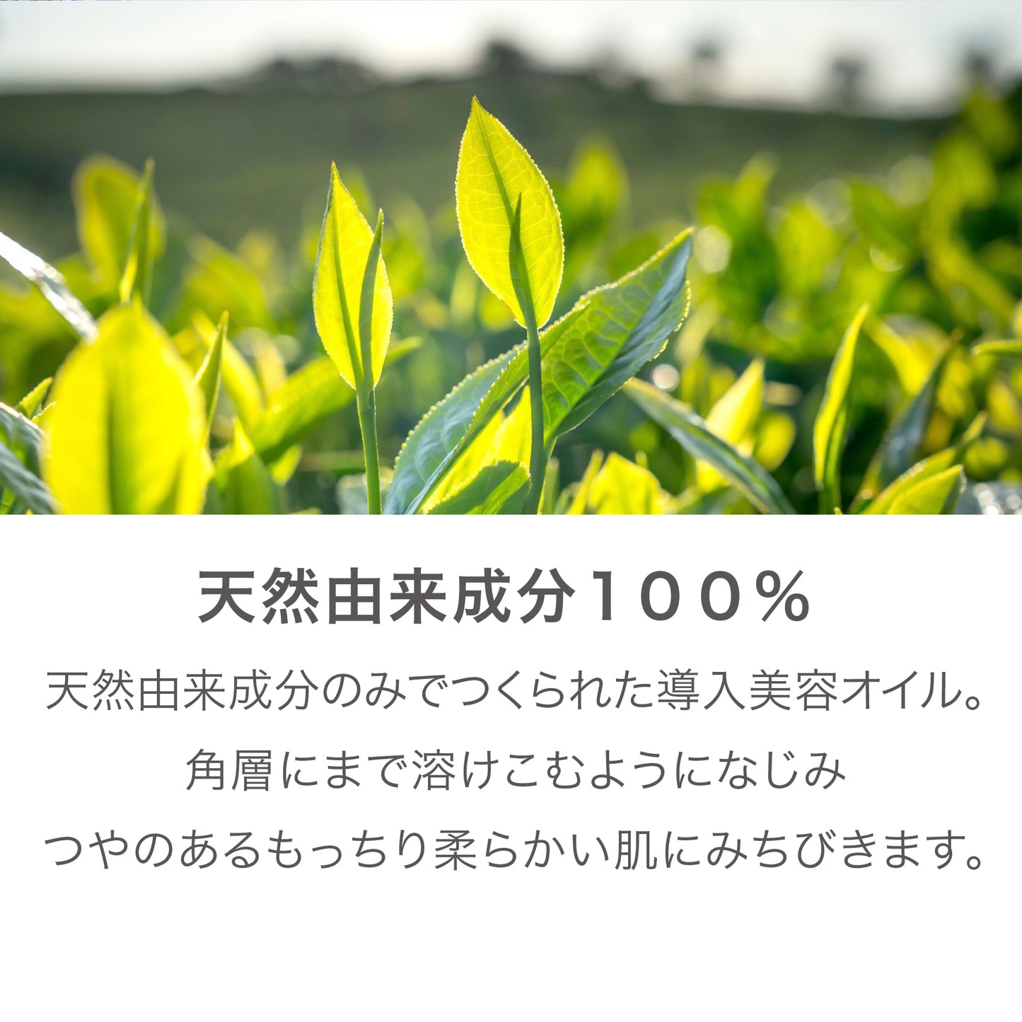 WATERY OIL リエムオーガニック ウォータリーオイル　30mL